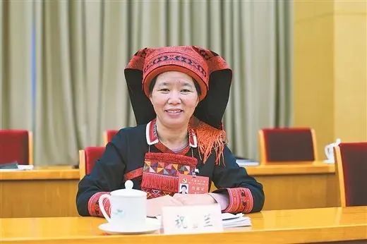 有关于聚焦二十大，聆听大会上的茶“声音”的新闻(5)