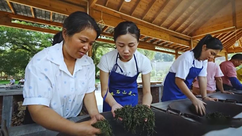 有关于《二十大时光》守正创新 推动六堡茶产业高质量发展的消息(2)