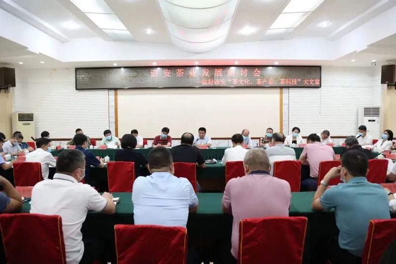 关于诏安县召开茶业发展研讨会的最新消息