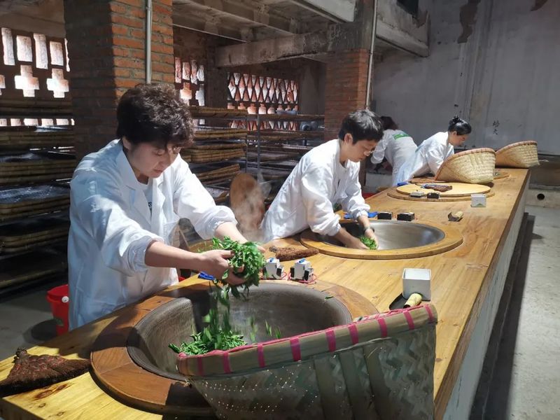 关于2022年无锡市首届茶叶加工工职业技能竞赛圆满落幕的内容(3)