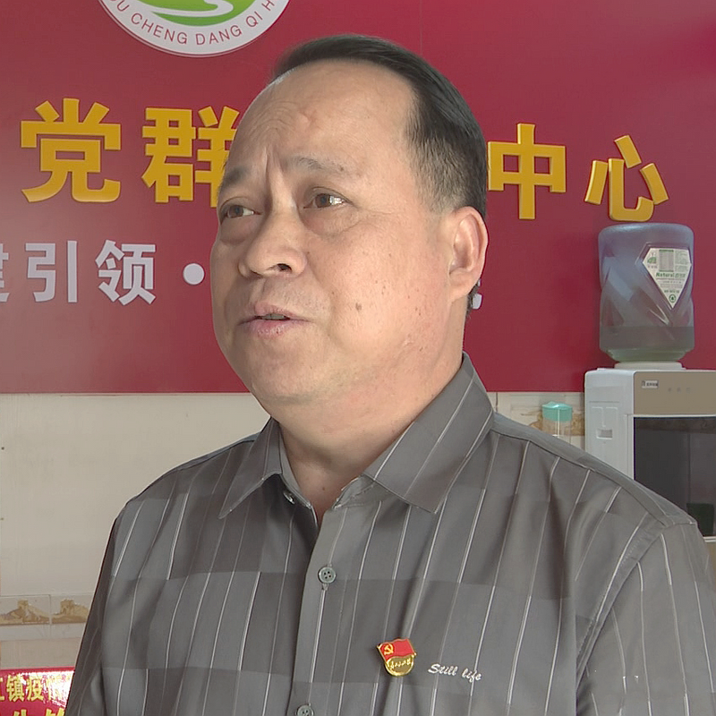 关于昭平:发展生态茶产业 实现一“叶”致富的信息(6)