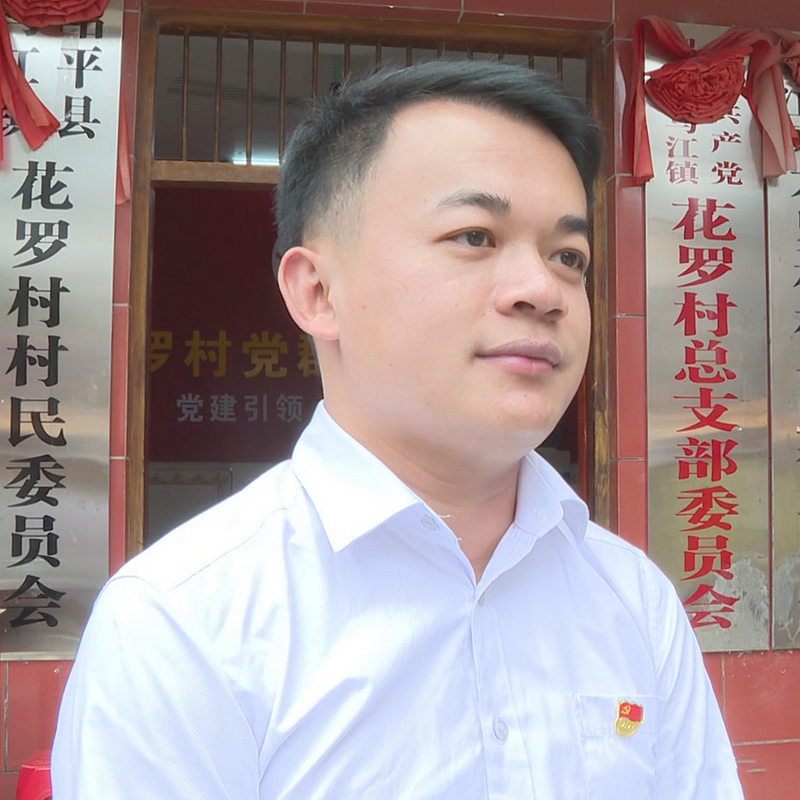 关于昭平:发展生态茶产业 实现一“叶”致富的信息(8)