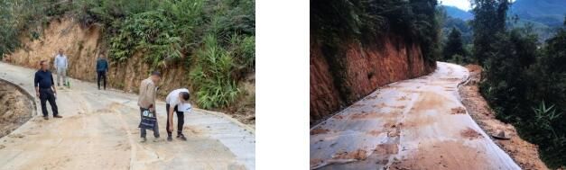 关于昭平:发展生态茶产业 实现一“叶”致富的信息(10)