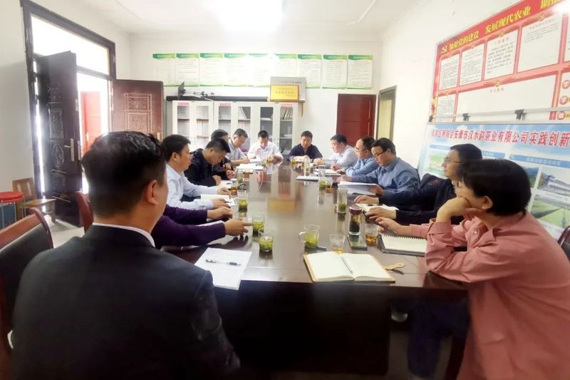 有关于郑小东到双龙镇龙泉村调研茶产业发展工作的消息(1)