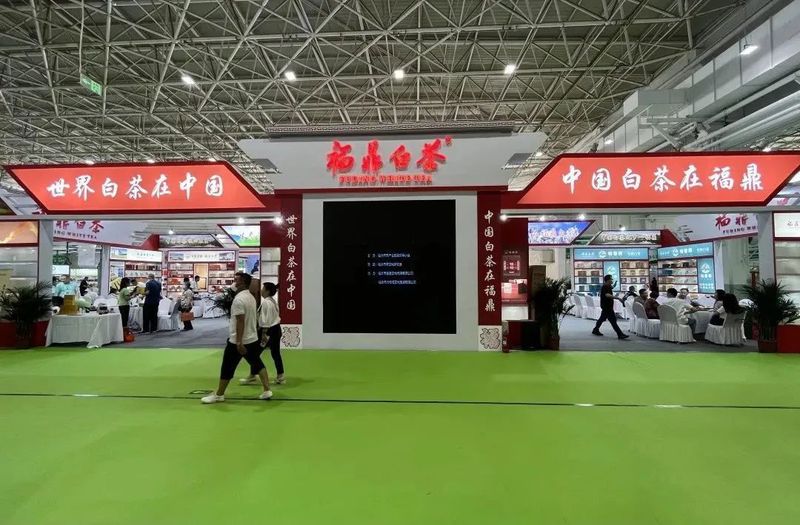 关于福建福鼎:十年沉淀 淬出茶香飘万里的资讯