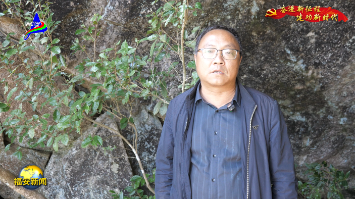 关于福安白云山麓发现一株野生古茶树的信息(4)