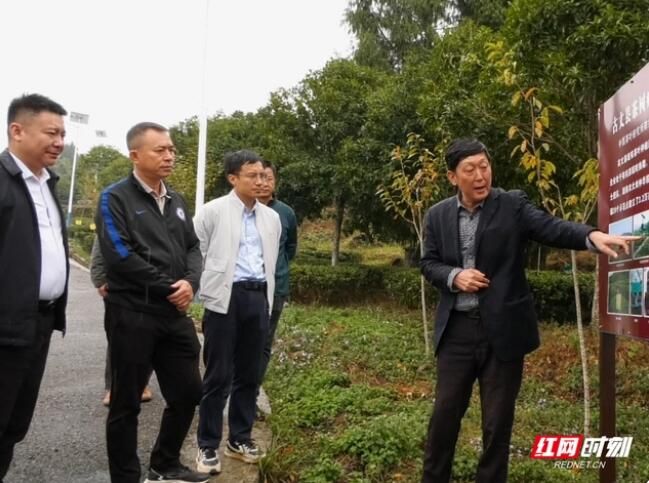 关于普洱“撞上”毛尖，传统茶区共谋高质量发展的资讯