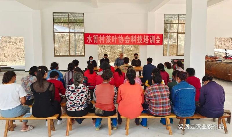 有关于梁河县：农业技术人员到水箐村开展茶叶科技培训的相关内容
