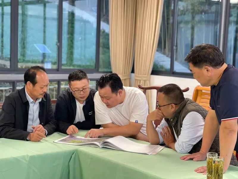 关于李月尧一行对黄山野猴魁茶产业进行考察的相关内容(3)