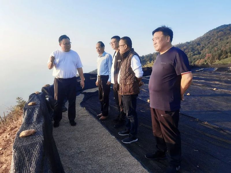 关于李月尧一行对黄山野猴魁茶产业进行考察的相关内容(1)