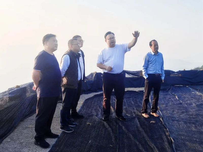 关于李月尧一行对黄山野猴魁茶产业进行考察的相关内容