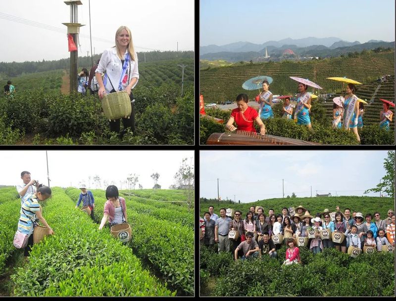 有关于名茶之都黄山市茶产业十年纪实：潮平两岸阔 风正一帆悬的资讯(3)