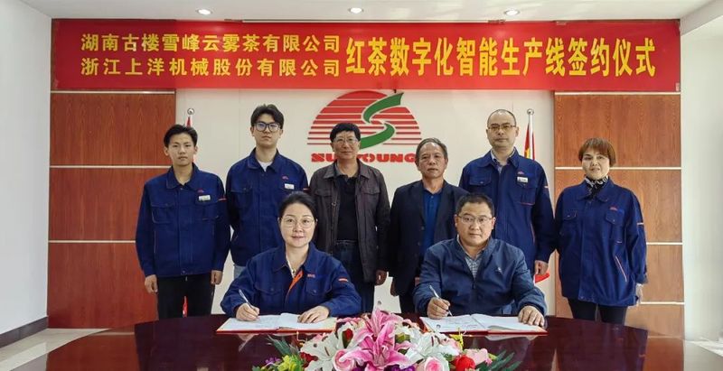关于“数字制茶”为湖南洞口县古楼茶产业振兴注入新动能的信息