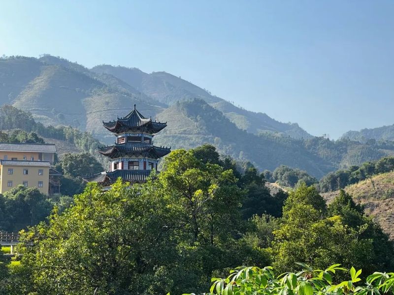 有关于苍梧县山坪村：劲往一处使 把六堡茶做大做强的相关内容(3)