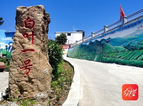 关于贵州沿河：中寨万亩茶乡干部群众收看二十大开幕盛况的新闻(8)
