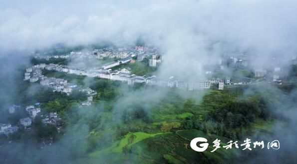 关于贵州沿河：中寨万亩茶乡干部群众收看二十大开幕盛况的新闻