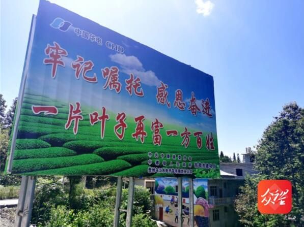 关于贵州沿河：中寨万亩茶乡干部群众收看二十大开幕盛况的新闻(7)