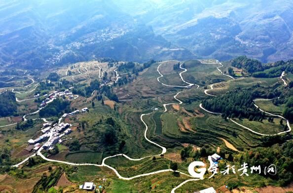 关于贵州沿河：中寨万亩茶乡干部群众收看二十大开幕盛况的新闻(9)
