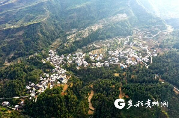 关于贵州沿河：中寨万亩茶乡干部群众收看二十大开幕盛况的新闻(3)