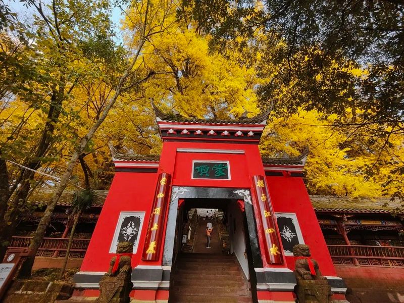 关于“蒙顶雅集·秋色茶会”活动圆满举办！迎四海嘉宾，品茗赏秋色~的资讯(9)