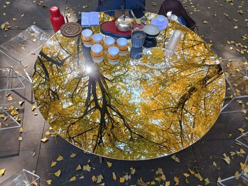 关于“蒙顶雅集·秋色茶会”活动圆满举办！迎四海嘉宾，品茗赏秋色~的资讯(3)