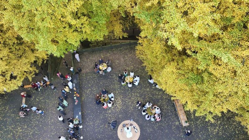关于“蒙顶雅集·秋色茶会”活动圆满举办！迎四海嘉宾，品茗赏秋色~的资讯(2)