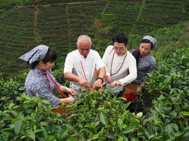 有关于第12届长春茶博会开幕在即，梧州六堡茶名优茶企抢先看！的相关内容(1)