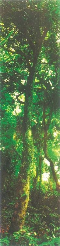 关于白沙茶产业再获新荣誉 持续为“两山”建设添柴加薪的内容