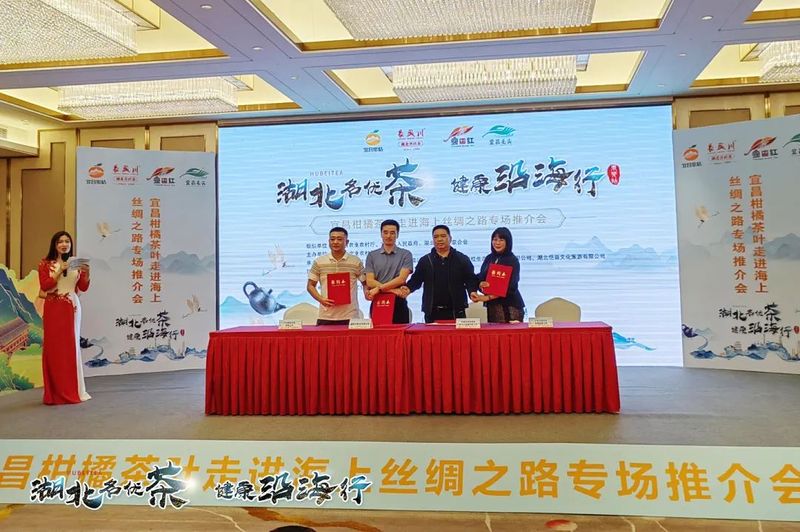有关于“橘都茶乡”地道风味 ,今天在莞城绽放的内容(7)
