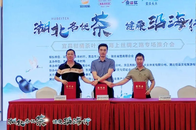 有关于“橘都茶乡”地道风味 ,今天在莞城绽放的内容(9)