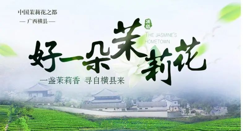 有关于广西:奋力打造千亿元茶产业的消息(6)