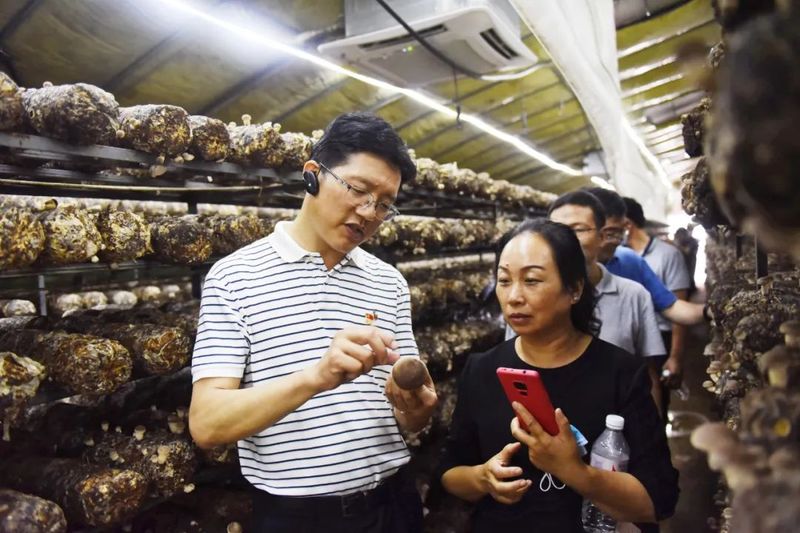 有关于武义三农的“十年画卷”，尤其美！的相关内容(3)