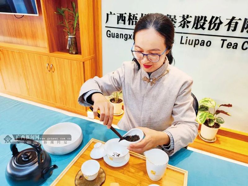 关于跟着总书记长见识，“大有前途”的六堡茶的资讯(9)