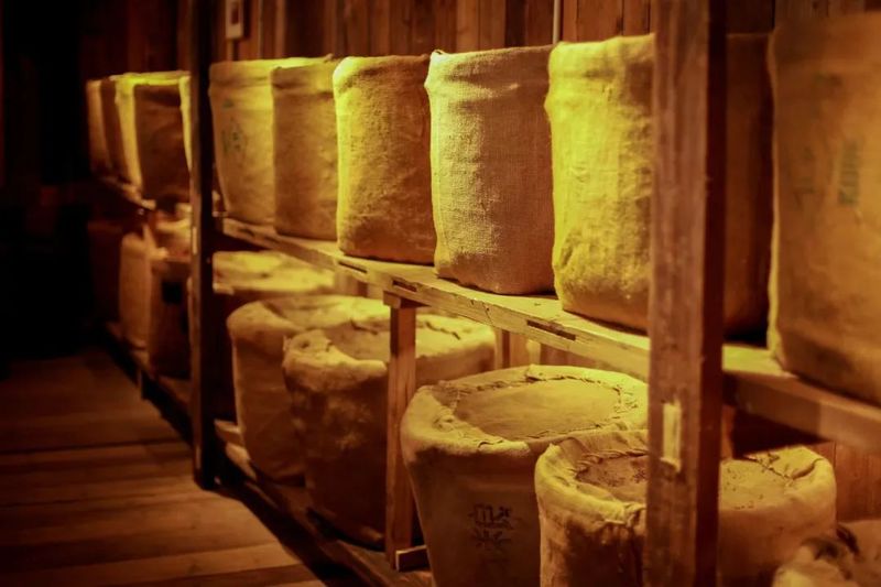 关于跟着总书记长见识，“大有前途”的六堡茶的资讯(11)