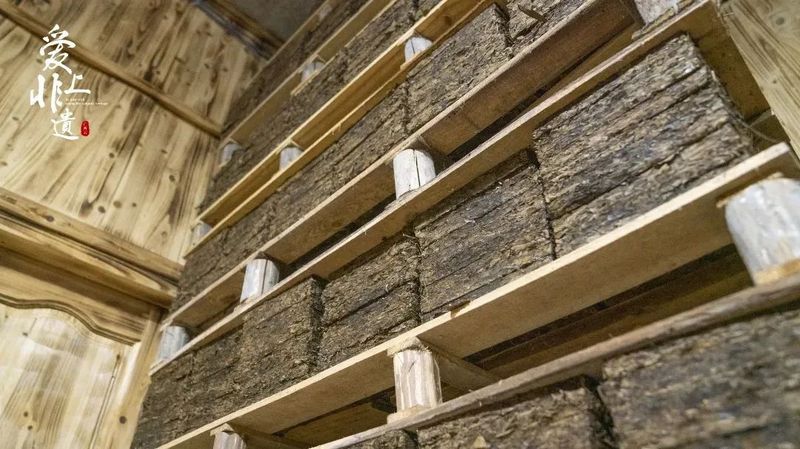 关于跟着总书记长见识，“大有前途”的六堡茶的资讯(3)