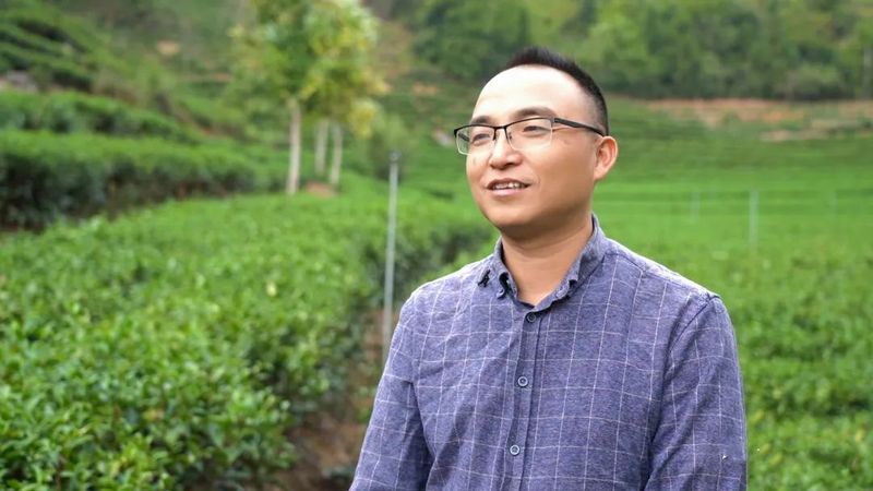 有关于绿色发展 做好松溪生态茶的最新消息(2)