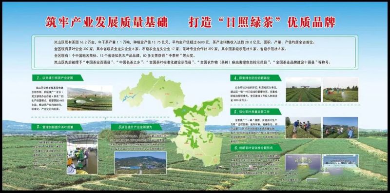 关于山东日照岚山区:“南茶北引”起家,十年位列“中国茶业百强县”!的内容(5)