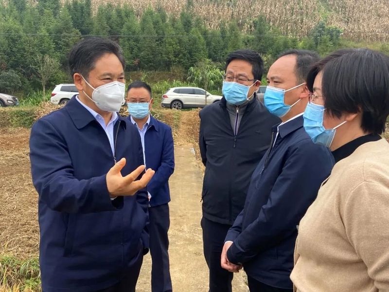 有关于张集智到普安县督导调研茶产业发展的信息