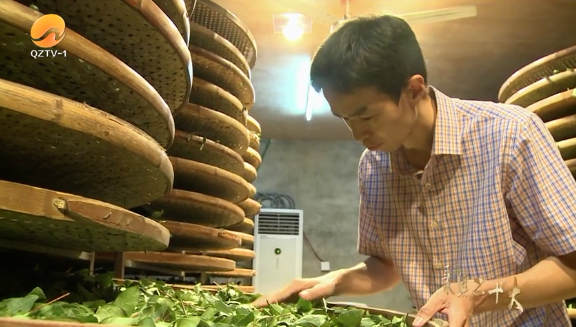 有关于聚焦“二十大”:推动茶产业发展,铺就乡村振兴路的新闻(8)