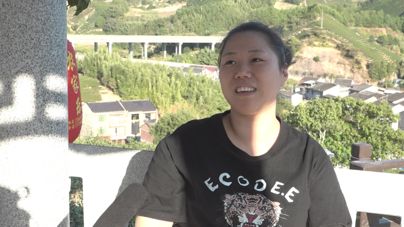 有关于打造建瓯茶文化休闲体验空间 推动茶旅深度融合发展的最新消息(3)