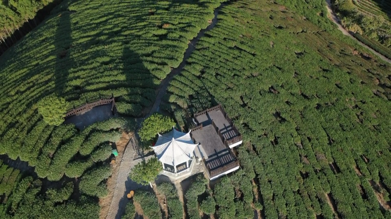 有关于打造建瓯茶文化休闲体验空间 推动茶旅深度融合发展的最新消息