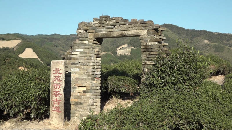 有关于打造建瓯茶文化休闲体验空间 推动茶旅深度融合发展的最新消息(1)