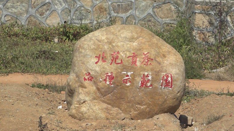 有关于打造建瓯茶文化休闲体验空间 推动茶旅深度融合发展的最新消息(9)