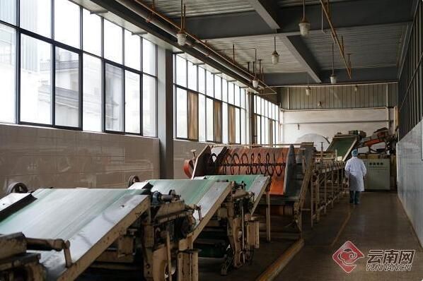 有关于云南凤庆:滇红生产“全链路”升级 构筑共同发展新格局的相关内容(3)