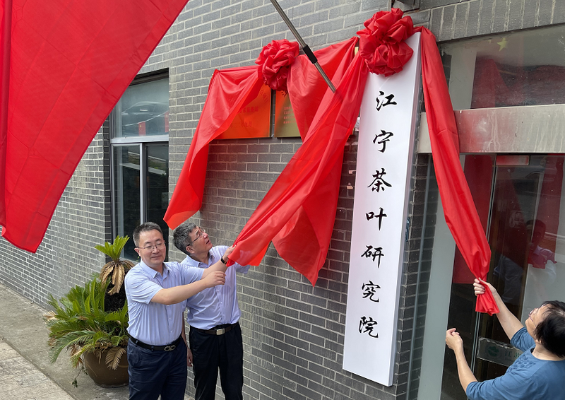 关于“江宁好茶”茶行业公用品牌 以品牌赋能助力乡村振兴的相关信息(3)