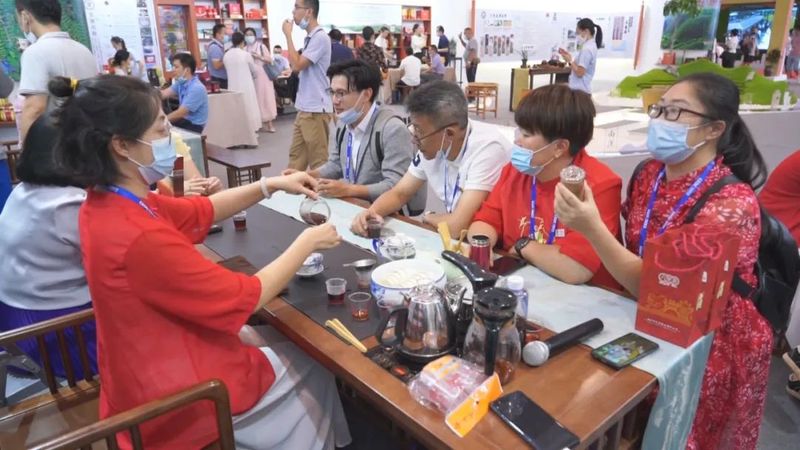关于《二十大时光》牢记总书记嘱托 把六堡茶做成乡村振兴大产业的消息(3)