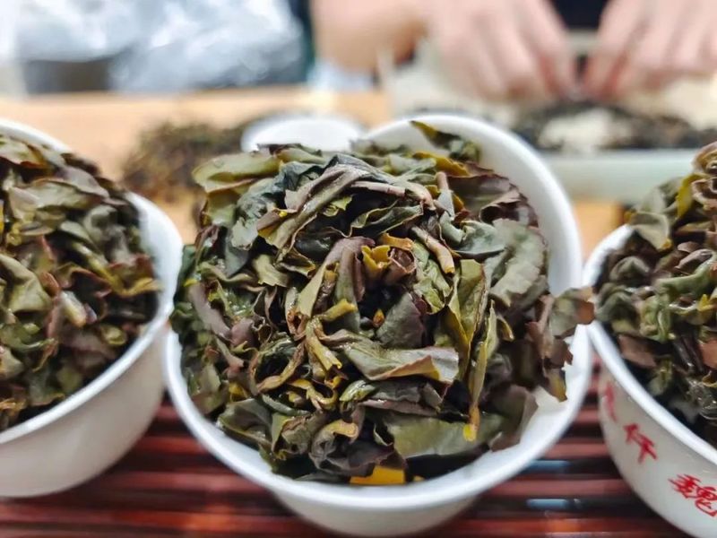 关于降雨量偏少 干旱撼不动秋茶品质的相关信息(1)