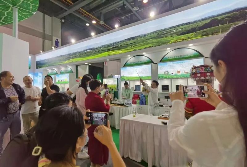 关于贵州正安:不忘初心,铸就茶产业快速发展,十年产值增长600%!的相关内容(8)