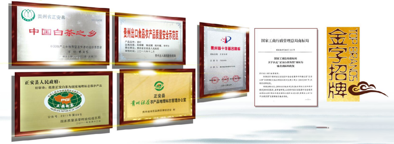 关于贵州正安:不忘初心,铸就茶产业快速发展,十年产值增长600%!的相关内容(6)