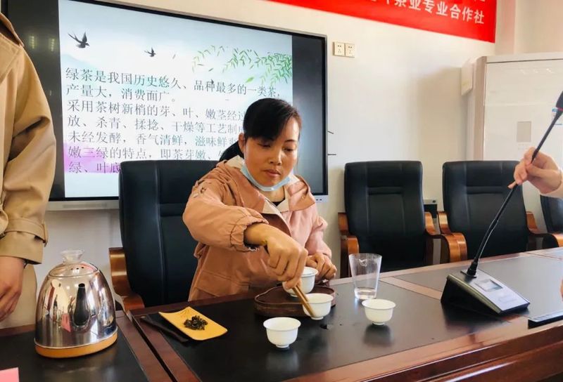 有关于赣州市茶叶产业协会:开班科普茶知识 走访茶企问旱情的相关内容(7)